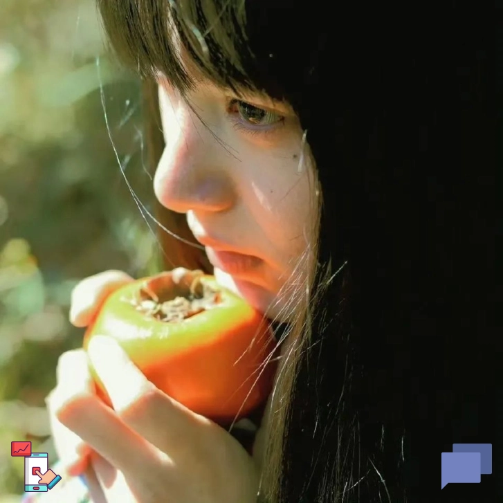 北城旧梦